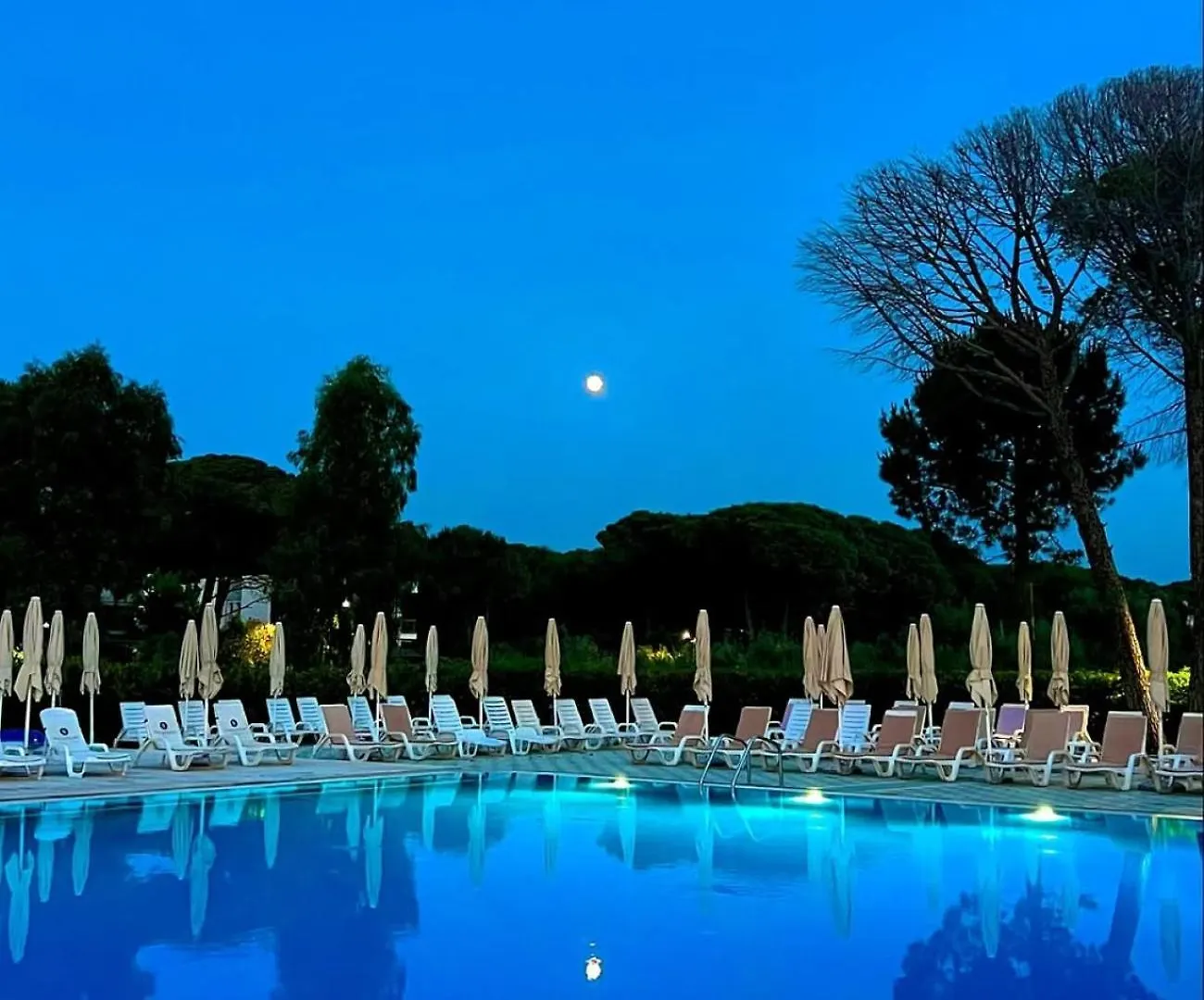 Lavender Beach House Durres Villa